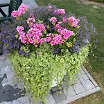 D'hotlîs Apartment Aywaille