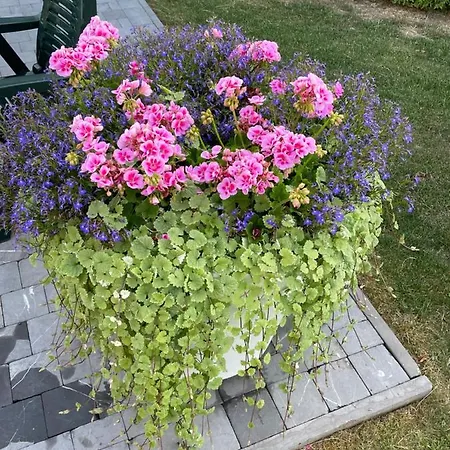 D'hotlis شقة آيويل